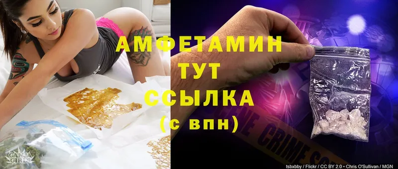 где купить   Городец  Amphetamine Розовый 