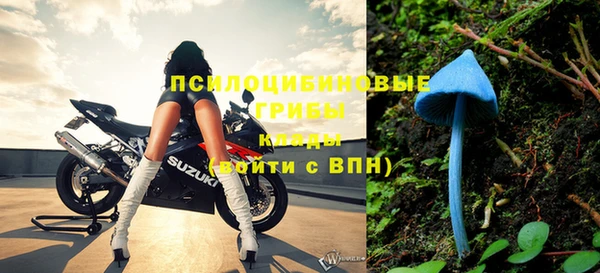 таблы Белокуриха