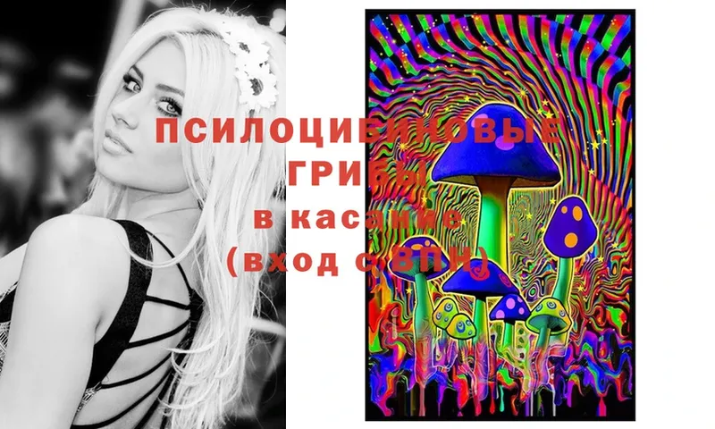 это официальный сайт  кракен ТОР  Галлюциногенные грибы Magic Shrooms  Городец  наркотики 