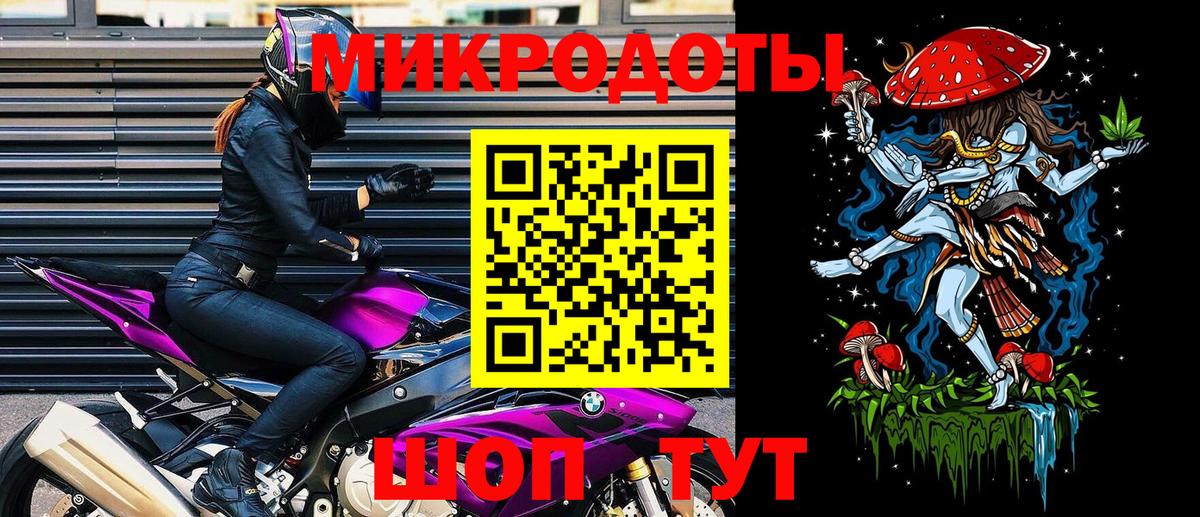 Псилоцибиновые грибы Psilocybe Городец