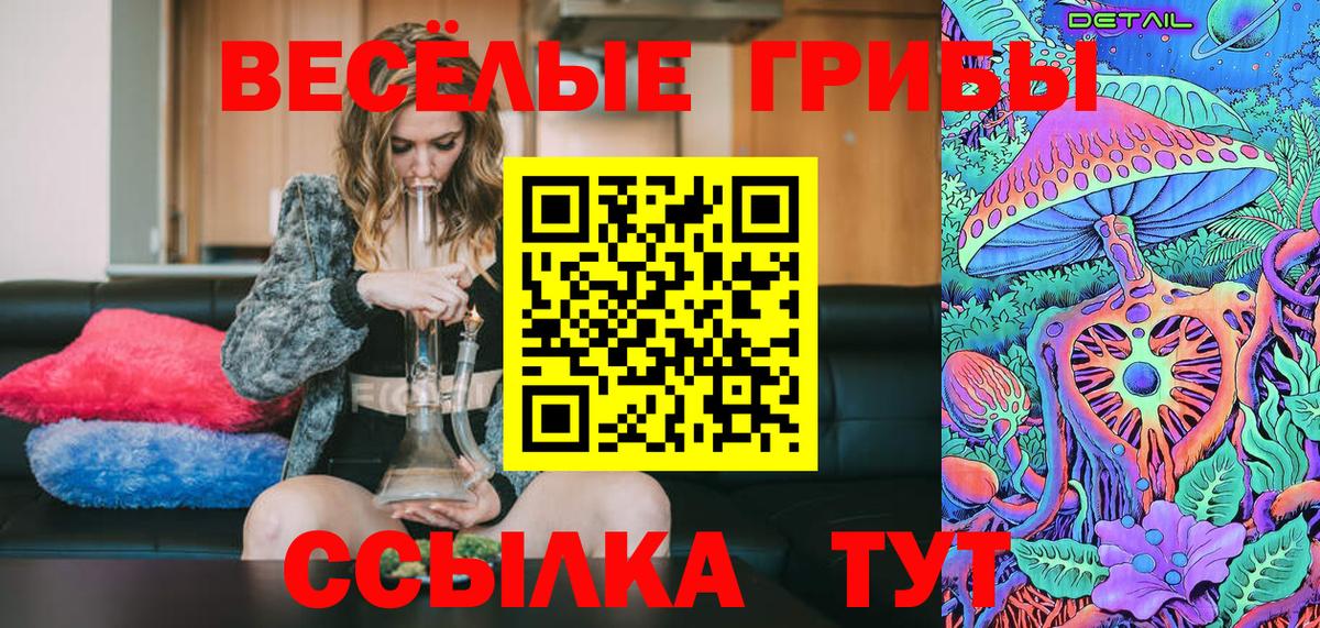 Галлюциногенные грибы прущие грибы  Вход с VPN  Городец 