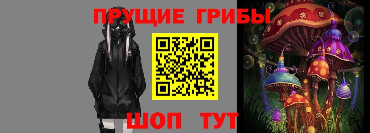 Галлюциногенные грибы Psilocybine cubensis Городец