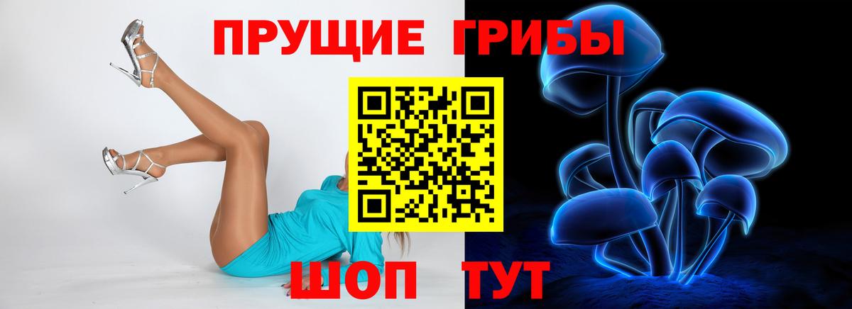 Псилоцибиновые грибы MAGIC MUSHROOMS  Псилоцибиновые грибы GOLDEN TEACHER  Городец 